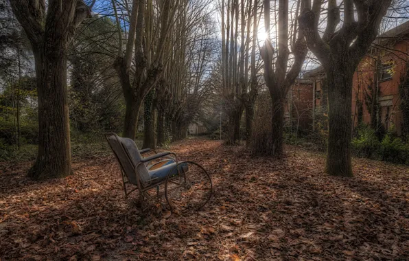 Picture autumn, yard, stroller