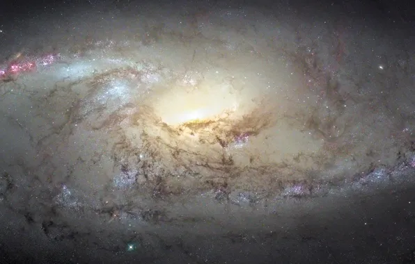 Galaxy, constellation, The Big Dipper, M106, The Dogs Of War, NGC 4258