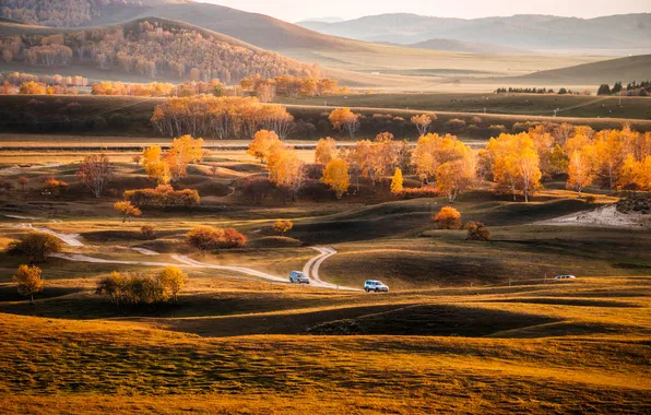 Road, field, autumn, forest, light, trees, mountains, machine