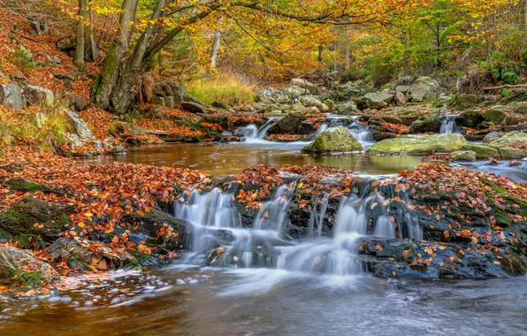 Picture autumn, leaves, river