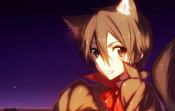Cat, anime, art, Sword art online, Sword Art Online, Kirito