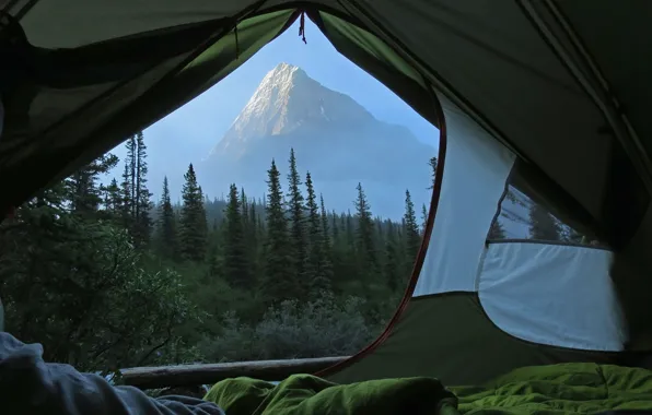 Picture nature, view, morning, mist, Tent, Mt. Robson