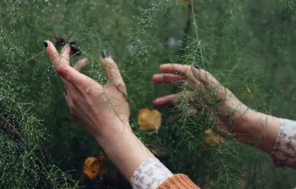 Grass, drops, nature, Rosa, hands, nails, yellow foliage