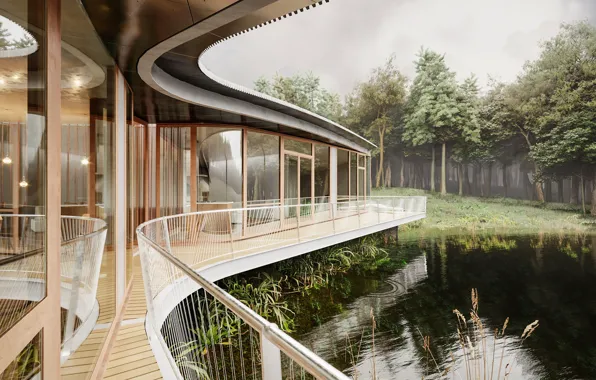 Forest, circles, plants, handrails, pond
