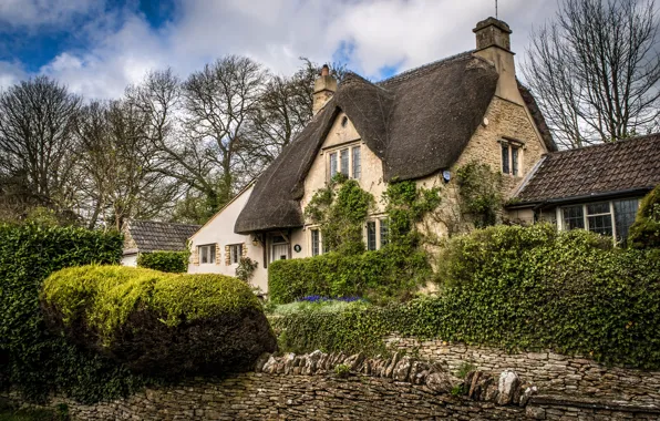 Trees, stones, England, home, garden, village, the bushes, Castle Combe