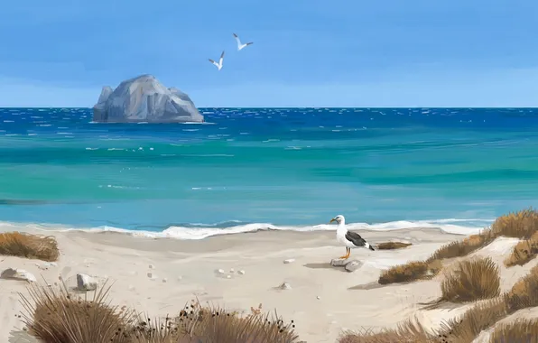 Picture sand, sea, grass, birds, rock, shore, seagulls, art