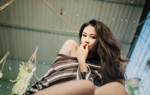 Picture look, girl, Asian, sitting, cutie, knees