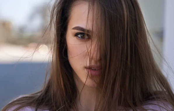 Curls, brown-eyed, Dmitry Shulgin