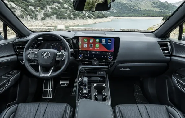 Interior, display, the instrument panel, the interior of the car, 2021, Lexus NX 350 F …