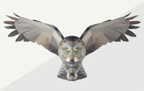 Bird, owl, abstact