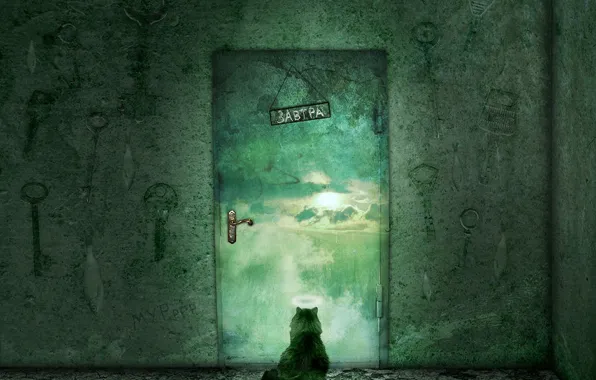 Picture cat, the door, Waiting