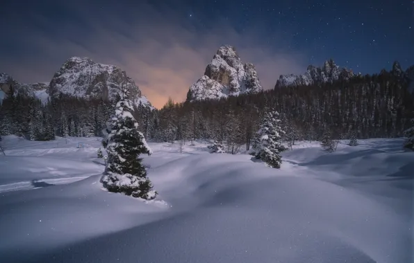 Winter, forest, stars, snow, mountains, night, ate, the snow