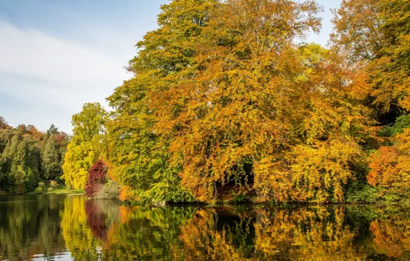 Autumn, trees, lake, reflection, England, Stored, England, Wiltshire