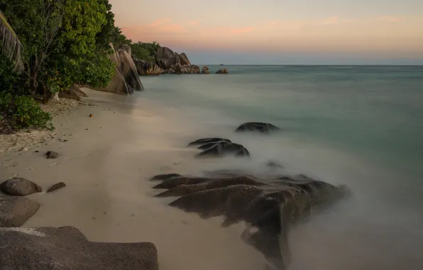 Picture sea, beach, tropics, palm trees