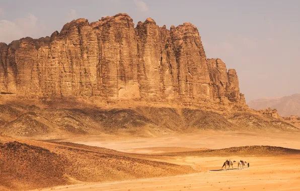 Picture sand, mountains, desert, camel