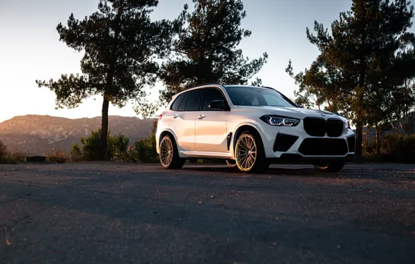 Picture X5M, Wheels, Trees, F95