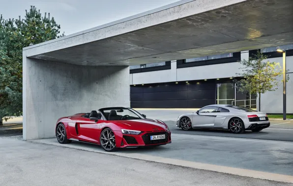 Audi, pair, Audi R8, Coupe, Spyder, V10, 2020, RWD