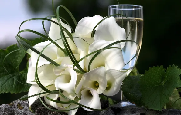 White, leaves, flowers, green, glass, color, bouquet, drink