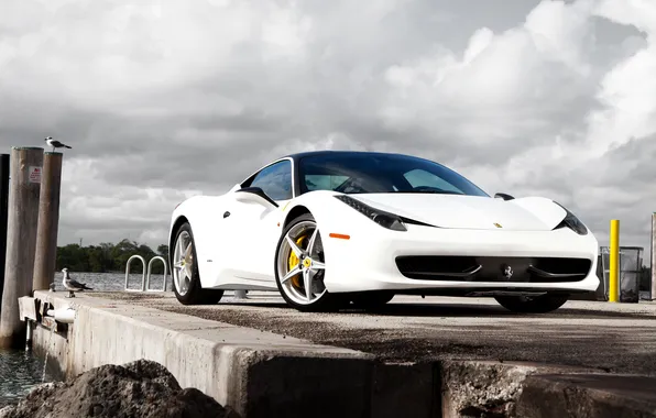 White, water, birds, pierce, Ferrari, white, Ferrari, 458