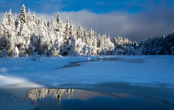 Picture winter, snow, lake