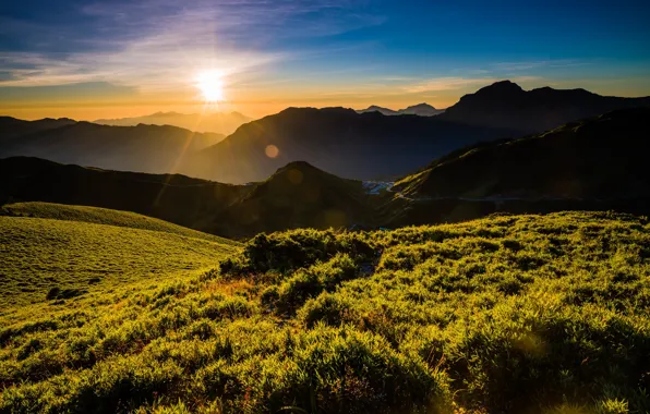Greens, summer, the sky, grass, the sun, clouds, rays, light