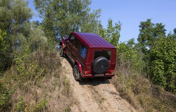 Mercedes-Benz, SUV, the rise, G500, G-Class, 2015, G 500, V8 Biturbo