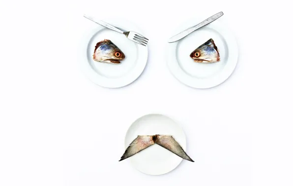 Face, fish, plates