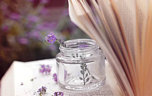 Macro, flowers, books, purple, Bank, flowers, page, jar