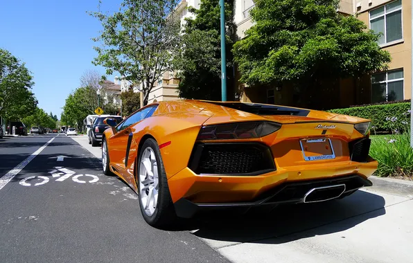 Picture the sky, trees, yellow, the building, lamborghini, rear view, yellow, aventador