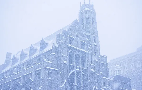 Picture winter, New York, Snowfall, "Johnson"