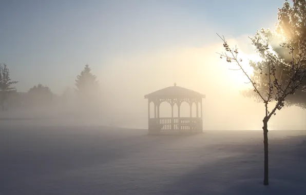 Winter, snow, trees, Park, frost, gazebo