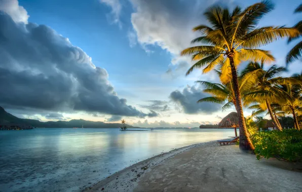 Beach, tropics, palm trees, the ocean, Bora Bora, Pacific Ocean, Bora Bora, French Polynesia