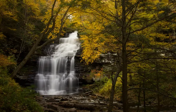 Autumn, forest, trees, waterfall, river, PA, cascade, Pennsylvania