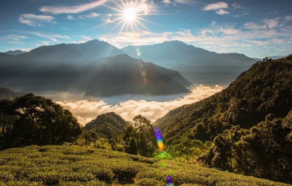 The sun, clouds, rays, mountains, fog, hills, vegetation, the slopes