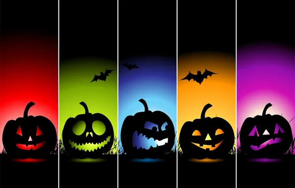 Picture Halloween, holiday, pumpkin, All Saints' Eve