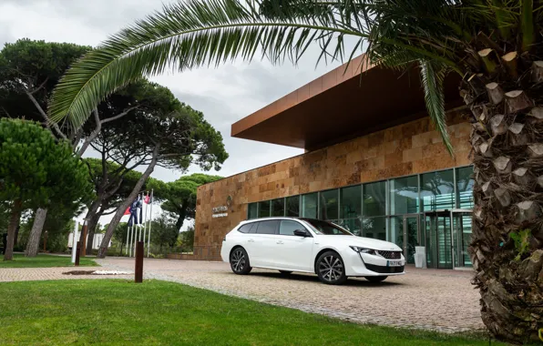 Car, machine, summer, clouds, trees, clouds, house, Palma