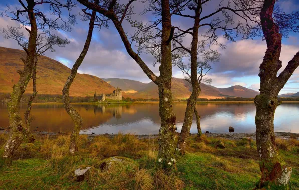 Picture autumn, the sky, clouds, trees, mountains, branches, lake, reflection