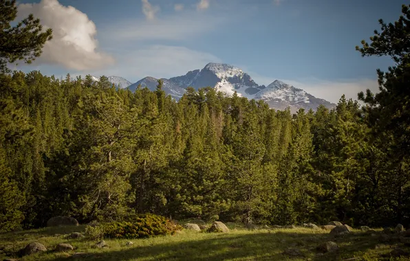 Forest, trees, mountains, glade, Colorado, Colorado, Rocky Mountain National Park, Rocky Mountain