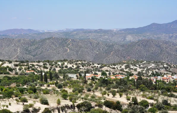 Greens, the sun, mountains, heat, Cyprus