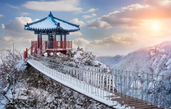 Picture Winter, Mountains, Snow, Forest, Ladder, Ice, South Korea, Korea