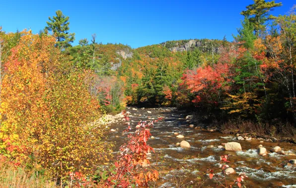 Picture Autumn, Forest, Stones, Fall, River, Autumn, Colors, River