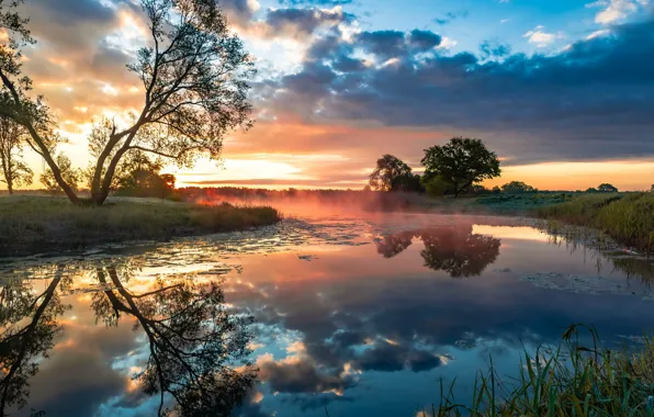 Nature, river, morning