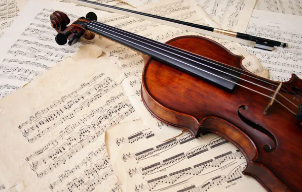 Picture notes, violin, leaves, bow, musical instrument