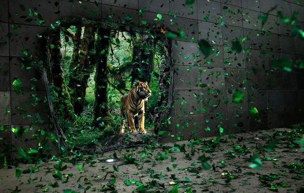 Picture Tiger, Jungle, Surreal, Mystical Forest