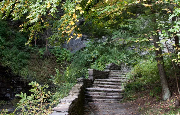 Autumn, Park, New York, stage, USA, USA, New York, park