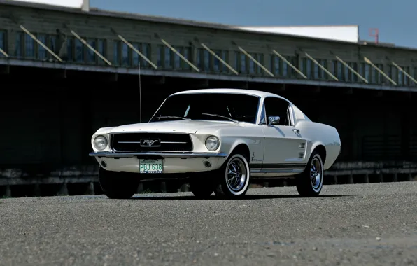 Picture Mustang, Ford, Mustang, Ford, 1967, Fastback