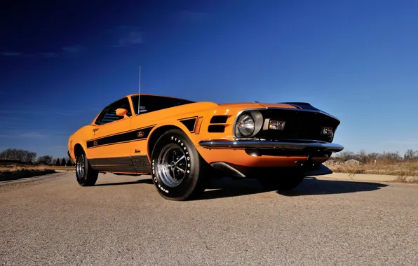 Picture Mustang, Ford, 1970, 1 428, Do