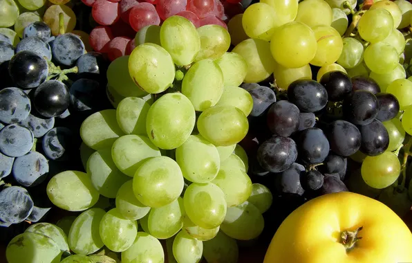 Picture photo, Apple, Fruit, Grapes, Food