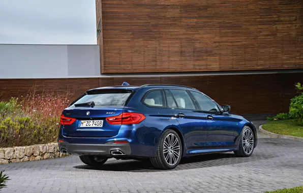 Picture vegetation, the building, pavers, BMW, back, side view, universal, xDrive