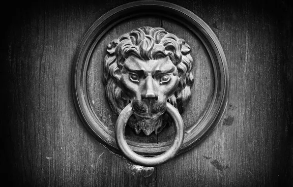 Metal, wood, door knocker